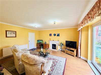 Picture 8